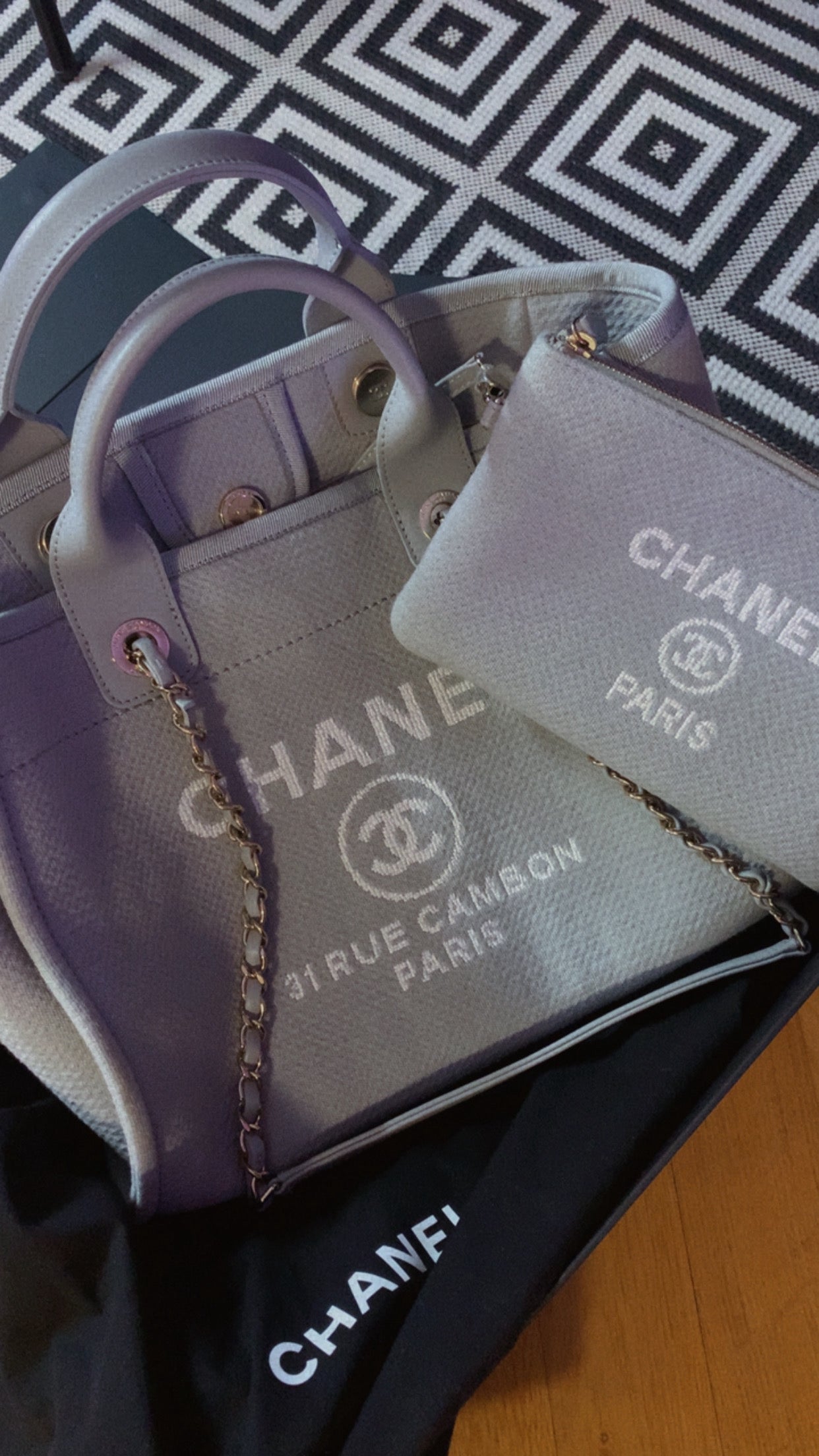 Chanel Bag Gray